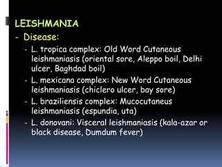 LEISHMANIA
- Disease:
 - L. tropica complex: Old Word Cutaneous
   leishmaniasis (oriental sore, Aleppo boil, Delhi
   ulcer, Baghdad boil)
 - L. mexicana complex: New Word Cutaneous
   leishmaniasis (chiclero ulcer, bay sore)
 - L. braziliensis complex: Mucocutaneus
   leishmaniasis (espundia, uta)
 - L. donovani: Visceral leishmaniasis (kala-azar or
   black disease, Dumdum fever)
 
