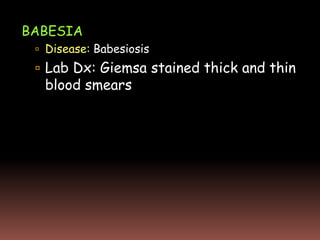 BABESIA
  Disease: Babesiosis
  Lab Dx: Giemsa stained thick and thin
  blood smears
 