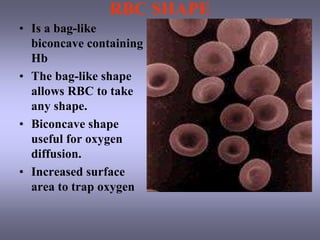 BLOOD (MSB 103).pptThis is a presentation of haemopoiesis | PPT