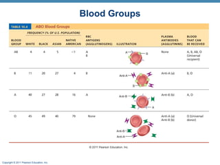 Blood Groups

Copyright © 2011 Pearson Education, Inc.

 