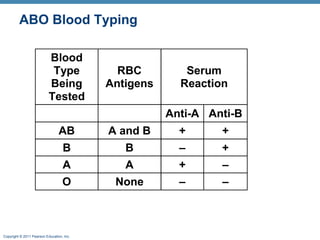 ABO Blood Typing
Blood
Type
Being
Tested

RBC
Antigens

Serum
Reaction
Anti-A Anti-B

AB

A and B

+

+

B

B

–

+

A

A

+

–

O

None

–

–

Copyright © 2011 Pearson Education, Inc.

 