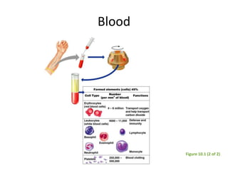 Physical Characteristics of Blood
• Color range
– Oxygen-rich blood is scarlet
red
– Oxygen-poor blood is dull
red
• pH mu...