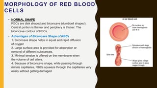 Blood part 1 | PPTX