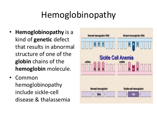 Blood Pathophysiology - 