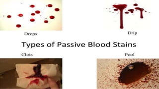 Blood pattern analysis | PPTX