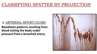 Arterial Spatter