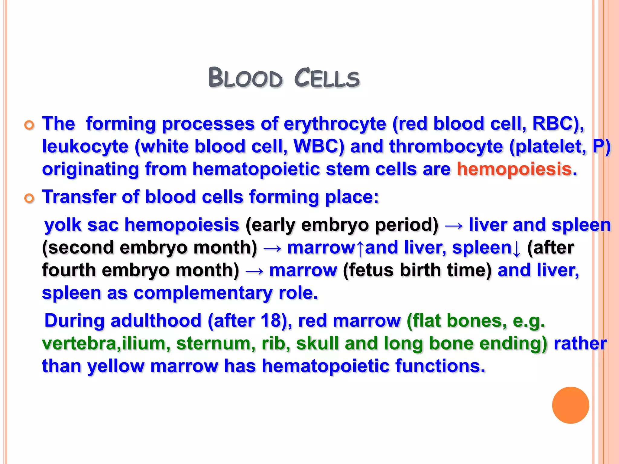 Blood physiology | PPTX