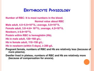 ERYTHROCYTE PHYSIOLOGY
Number of RBC: It is most numbers in the blood.
                          Normal value about RBC
Male adult, 4.5~5.5×1012/L; average, 5.0×1012/L
Female adult, 3.8~4.6× 1012/L; average, 4.2×1012/L
Newborn, ≥ 6.0×1012/L
Protein within RBC is hemoglobin (Hb).
Hb in male adult, 120~160 g/L;
Hb in female adult, 110~150 g/L;
Hb in newborn (within 5 days), ≥ 200 g/L
Pregnant female, numbers of RBC and Hb are relatively less (because of
  more plasma).
Dweller lived in plateau, numbers of RBC and Hb are relatively more
  (because of compensation for anoxia).
 