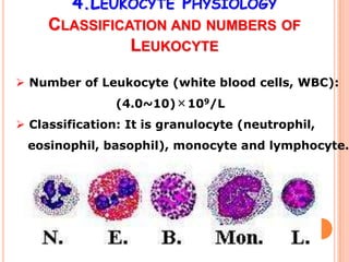 4.LEUKOCYTE PHYSIOLOGY
     CLASSIFICATION AND NUMBERS OF
               LEUKOCYTE

 Number of Leukocyte (white blood cells, WBC):
                (4.0~10)×109/L
 Classification: It is granulocyte (neutrophil,
 eosinophil, basophil), monocyte and lymphocyte.
 