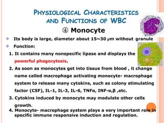PHYSIOLOGICAL CHARACTERISTICS
             AND FUNCTIONS OF WBC
                       ④ Monocyte
  Its body is large, diameter about 15~30 µm without granule
  Function:
1. It contains many nonspecific lipase and displays the
  powerful phagocytosis.
2. As soon as monocytes get into tissue from blood , it change
  name called macrophage activating monocyte- macrophage
  system to release many cytokins, such as colony stimulating
  factor (CSF), IL-1, IL-3, IL-6, TNFα, INF-α,β ,etc.
3. Cytokins induced by monocyte may modulate other cells
   growth.
4. Monocyte- macrophage system plays a very important role in
   specific immune responsive induction and regulation.
 