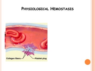 PHYSIOLOGICAL HEMOSTASIS
 