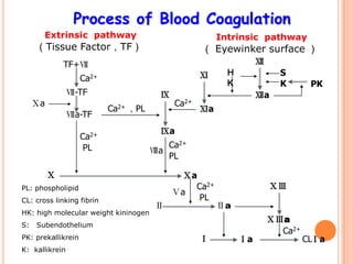 Process of Blood Coagulation
       Extrinsic pathway                                Intrinsic pathway
     （Tissue Factor，TF）                            （ Eyewinker surface ）
              TF+Ⅶ                                                 Ⅻ
                                                   Ⅺ      H              S
                    Ca2+
                                                          K              K       PK
                Ⅶ-TF                    Ⅸ                          Ⅻa
     Ⅹa                                     Ca2+
                           Ca2+ ，PL                Ⅺa
                Ⅶa-TF
                                        Ⅸa
                    Ca2+
                     PL                  Ca2+
                                      Ⅷa
                                         PL

          Ⅹ                                  Ⅹa
PL: phospholipid                               Ca2+                    ⅩⅢ
                                            Ⅴa
CL: cross linking fibrin                        PL
                                       Ⅱ                Ⅱa
HK: high molecular weight kininogen
                                                                       ⅩⅢa
S:   Subendothelium
                                                                         Ca2+
PK: prekallikrein                                  Ⅰ          Ⅰa                CLⅠa
K: kallikrein
 
