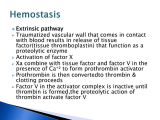  Extrinsic pathway
 Traumatized vascular wall that comes in contact
with blood results in release of tissue
factor(tissue thromboplastin) that function as a
proteolytic enzyme
 Activation of factor X
 Xa combine with tissue factor and factor V in the
presence of Ca⁺² to form prothrombin activator
 Prothrombin is then convertedto thrombin &
clotting proceeds
 Factor V in the activator complex is inactive until
thrombin is formed,the proteolytic action of
thrombin activate factor V
 