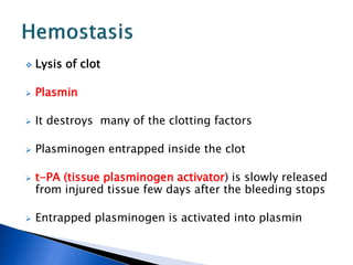  Lysis of clot
 Plasmin
 It destroys many of the clotting factors
 Plasminogen entrapped inside the clot
 t-PA (tissue plasminogen activator) is slowly released
from injured tissue few days after the bleeding stops
 Entrapped plasminogen is activated into plasmin
 