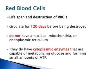  Life span and destruction of RBC’s
 circulate for 120 days before being destroyed
 do not have a nucleus ,mitochondria, or
endoplasmic reticulum
 they do have cytoplasmic enzymes that are
capable of metabolizing glucose and forming
small amounts of ATP.
 