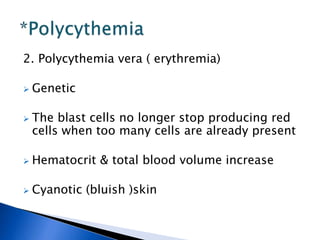 2. Polycythemia vera ( erythremia)
 Genetic
 The blast cells no longer stop producing red
cells when too many cells are already present
 Hematocrit & total blood volume increase
 Cyanotic (bluish )skin
 