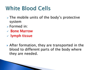  The mobile units of the body’s protective
system
 Formed in:
 Bone Marrow
 lymph tissue
 After formation, they are transported in the
blood to different parts of the body where
they are needed.
 