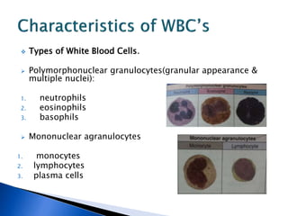  Types of White Blood Cells.
 Polymorphonuclear granulocytes(granular appearance &
multiple nuclei):
1. neutrophils
2. eosinophils
3. basophils
 Mononuclear agranulocytes
1. monocytes
2. lymphocytes
3. plasma cells
 