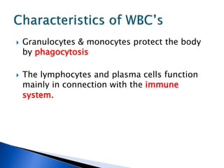  Granulocytes & monocytes protect the body
by phagocytosis
 The lymphocytes and plasma cells function
mainly in connection with the immune
system.
 