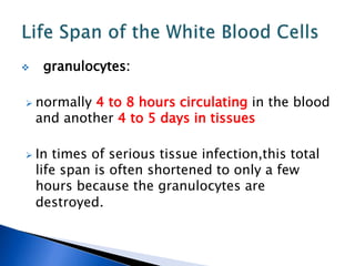 granulocytes:
 normally 4 to 8 hours circulating in the blood
and another 4 to 5 days in tissues
 In times of serious tissue infection,this total
life span is often shortened to only a few
hours because the granulocytes are
destroyed.
 