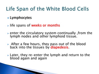  Lymphocytes
 life spans of weeks or months
 enter the circulatory system continually ,from the
lymph nodes and other lymphoid tissue.
 After a few hours, they pass out of the blood
back into the tissues by diapedesis.
 Later, they re-enter the lymph and return to the
blood again and again
 