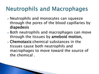  Neutrophils and monocytes can squeeze
through the pores of the blood capillaries by
diapedesis
 Both neutrophils and macrophages can move
through the tissues by ameboid motion,
 Chemotaxis:chemical substances in the
tissues cause both neutrophils and
macrophages to move toward the source of
the chemical .
 