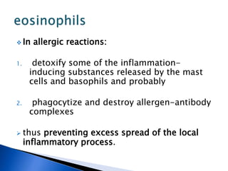 In allergic reactions:
1. detoxify some of the inflammation-
inducing substances released by the mast
cells and basophils and probably
2. phagocytize and destroy allergen-antibody
complexes
 thus preventing excess spread of the local
inflammatory process.
 