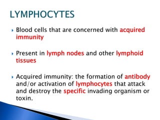  Blood cells that are concerned with acquired
immunity
 Present in lymph nodes and other lymphoid
tissues
 Acquired immunity: the formation of antibody
and/or activation of lymphocytes that attack
and destroy the specific invading organism or
toxin.
 