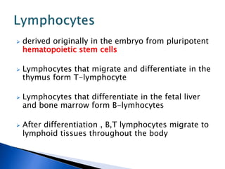  derived originally in the embryo from pluripotent
hematopoietic stem cells
 Lymphocytes that migrate and differentiate in the
thymus form T-lymphocyte
 Lymphocytes that differentiate in the fetal liver
and bone marrow form B-lymhocytes
 After differentiation , B,T lymphocytes migrate to
lymphoid tissues throughout the body
 