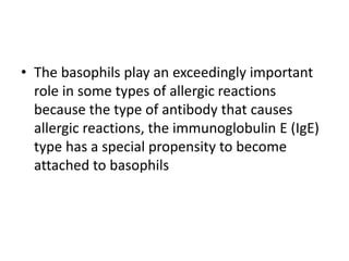 • The basophils play an exceedingly important
role in some types of allergic reactions
because the type of antibody that causes
allergic reactions, the immunoglobulin E (IgE)
type has a special propensity to become
attached to basophils
 