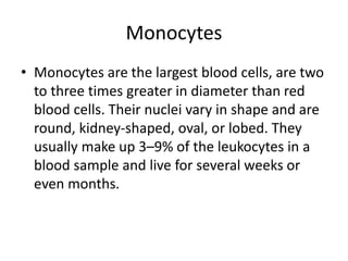 Monocytes
• Monocytes are the largest blood cells, are two
to three times greater in diameter than red
blood cells. Their nuclei vary in shape and are
round, kidney-shaped, oval, or lobed. They
usually make up 3–9% of the leukocytes in a
blood sample and live for several weeks or
even months.
 