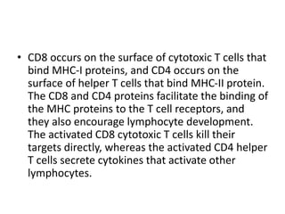 • CD8 occurs on the surface of cytotoxic T cells that
bind MHC-I proteins, and CD4 occurs on the
surface of helper T cells that bind MHC-II protein.
The CD8 and CD4 proteins facilitate the binding of
the MHC proteins to the T cell receptors, and
they also encourage lymphocyte development.
The activated CD8 cytotoxic T cells kill their
targets directly, whereas the activated CD4 helper
T cells secrete cytokines that activate other
lymphocytes.
 