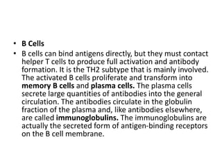 • B Cells
• B cells can bind antigens directly, but they must contact
helper T cells to produce full activation and antibody
formation. It is the TH2 subtype that is mainly involved.
The activated B cells proliferate and transform into
memory B cells and plasma cells. The plasma cells
secrete large quantities of antibodies into the general
circulation. The antibodies circulate in the globulin
fraction of the plasma and, like antibodies elsewhere,
are called immunoglobulins. The immunoglobulins are
actually the secreted form of antigen-binding receptors
on the B cell membrane.
 
