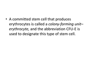• A committed stem cell that produces
erythrocytes is called a colony-forming unit–
erythrocyte, and the abbreviation CFU-E is
used to designate this type of stem cell.
 