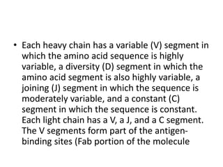 • Each heavy chain has a variable (V) segment in
which the amino acid sequence is highly
variable, a diversity (D) segment in which the
amino acid segment is also highly variable, a
joining (J) segment in which the sequence is
moderately variable, and a constant (C)
segment in which the sequence is constant.
Each light chain has a V, a J, and a C segment.
The V segments form part of the antigen-
binding sites (Fab portion of the molecule
 