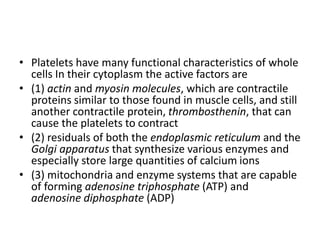 • Platelets have many functional characteristics of whole
cells In their cytoplasm the active factors are
• (1) actin and myosin molecules, which are contractile
proteins similar to those found in muscle cells, and still
another contractile protein, thrombosthenin, that can
cause the platelets to contract
• (2) residuals of both the endoplasmic reticulum and the
Golgi apparatus that synthesize various enzymes and
especially store large quantities of calcium ions
• (3) mitochondria and enzyme systems that are capable
of forming adenosine triphosphate (ATP) and
adenosine diphosphate (ADP)
 