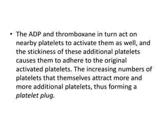 • The ADP and thromboxane in turn act on
nearby platelets to activate them as well, and
the stickiness of these additional platelets
causes them to adhere to the original
activated platelets. The increasing numbers of
platelets that themselves attract more and
more additional platelets, thus forming a
platelet plug.
 