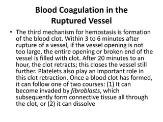 Blood Coagulation in the
Ruptured Vessel
• The third mechanism for hemostasis is formation
of the blood clot. Within 3 to 6 minutes after
rupture of a vessel, if the vessel opening is not
too large, the entire opening or broken end of the
vessel is filled with clot. After 20 minutes to an
hour, the clot retracts; this closes the vessel still
further. Platelets also play an important role in
this clot retraction. Once a blood clot has formed,
it can follow one of two courses: (1) It can
become invaded by fibroblasts, which
subsequently form connective tissue all through
the clot, or (2) it can dissolve
 