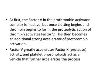 • At first, the Factor V in the prothrombin activator
complex is inactive, but once clotting begins and
thrombin begins to form, the proteolytic action of
thrombin activates Factor V. This then becomes
an additional strong accelerator of prothrombin
activation.
• Factor V greatly accelerates Factor X (protease)
activity, and platelet phospholipids act as a
vehicle that further accelerates the process.
 
