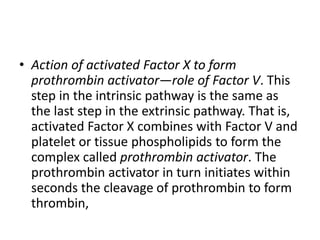 • Action of activated Factor X to form
prothrombin activator—role of Factor V. This
step in the intrinsic pathway is the same as
the last step in the extrinsic pathway. That is,
activated Factor X combines with Factor V and
platelet or tissue phospholipids to form the
complex called prothrombin activator. The
prothrombin activator in turn initiates within
seconds the cleavage of prothrombin to form
thrombin,
 