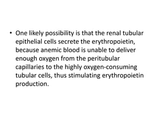 • One likely possibility is that the renal tubular
epithelial cells secrete the erythropoietin,
because anemic blood is unable to deliver
enough oxygen from the peritubular
capillaries to the highly oxygen-consuming
tubular cells, thus stimulating erythropoietin
production.
 