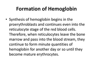 Formation of Hemoglobin
• Synthesis of hemoglobin begins in the
proerythroblasts and continues even into the
reticulocyte stage of the red blood cells.
Therefore, when reticulocytes leave the bone
marrow and pass into the blood stream, they
continue to form minute quantities of
hemoglobin for another day or so until they
become mature erythrocytes.
 