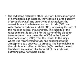 • The red blood cells have other functions besides transport
of hemoglobin. For instance, they contain a large quantity
of carbonic anhydrase, an enzyme that catalyzes the
reversible reaction between carbon dioxide (CO2) and
water to form carbonic acid (H2CO3), increasing the rate of
this reaction several thousandfold. The rapidity of this
reaction makes it possible for the water of the blood to
transport enormous quantities of CO2 in the form of
bicarbonate ion (HCO3) from the tissues to the lungs,
where it is reconverted to CO2 and expelled into the
atmosphere as a body waste product. The hemoglobin in
the cells is an excellent acid-base buffer, so that the red
blood cells are responsible for most of the acid-base
buffering power of whole blood.
 