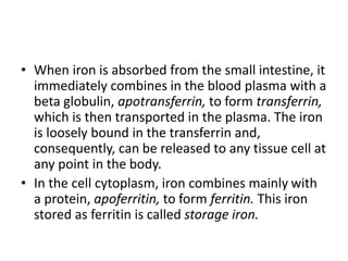 • When iron is absorbed from the small intestine, it
immediately combines in the blood plasma with a
beta globulin, apotransferrin, to form transferrin,
which is then transported in the plasma. The iron
is loosely bound in the transferrin and,
consequently, can be released to any tissue cell at
any point in the body.
• In the cell cytoplasm, iron combines mainly with
a protein, apoferritin, to form ferritin. This iron
stored as ferritin is called storage iron.
 