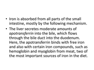 • Iron is absorbed from all parts of the small
intestine, mostly by the following mechanism.
• The liver secretes moderate amounts of
apotransferrin into the bile, which flows
through the bile duct into the duodenum.
Here, the apotransferrin binds with free iron
and also with certain iron compounds, such as
hemoglobin and myoglobin from meat, two of
the most important sources of iron in the diet.
 