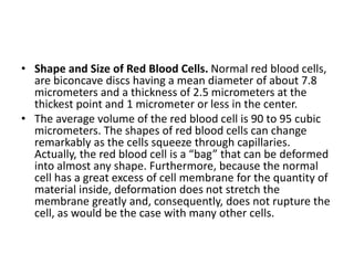 • Shape and Size of Red Blood Cells. Normal red blood cells,
are biconcave discs having a mean diameter of about 7.8
micrometers and a thickness of 2.5 micrometers at the
thickest point and 1 micrometer or less in the center.
• The average volume of the red blood cell is 90 to 95 cubic
micrometers. The shapes of red blood cells can change
remarkably as the cells squeeze through capillaries.
Actually, the red blood cell is a “bag” that can be deformed
into almost any shape. Furthermore, because the normal
cell has a great excess of cell membrane for the quantity of
material inside, deformation does not stretch the
membrane greatly and, consequently, does not rupture the
cell, as would be the case with many other cells.
 