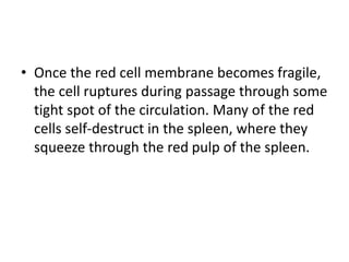• Once the red cell membrane becomes fragile,
the cell ruptures during passage through some
tight spot of the circulation. Many of the red
cells self-destruct in the spleen, where they
squeeze through the red pulp of the spleen.
 