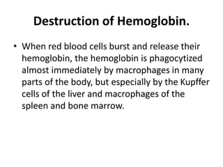 Destruction of Hemoglobin.
• When red blood cells burst and release their
hemoglobin, the hemoglobin is phagocytized
almost immediately by macrophages in many
parts of the body, but especially by the Kupffer
cells of the liver and macrophages of the
spleen and bone marrow.
 