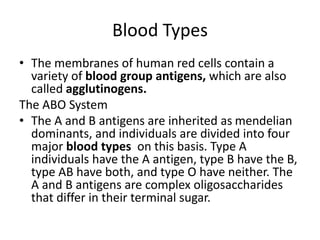 Blood Types
• The membranes of human red cells contain a
variety of blood group antigens, which are also
called agglutinogens.
The ABO System
• The A and B antigens are inherited as mendelian
dominants, and individuals are divided into four
major blood types on this basis. Type A
individuals have the A antigen, type B have the B,
type AB have both, and type O have neither. The
A and B antigens are complex oligosaccharides
that differ in their terminal sugar.
 