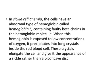 • In sickle cell anemia, the cells have an
abnormal type of hemoglobin called
hemoglobin S, containing faulty beta chains in
the hemoglobin molecule. When this
hemoglobin is exposed to low concentrations
of oxygen, it precipitates into long crystals
inside the red blood cell. These crystals
elongate the cell and give it the appearance of
a sickle rather than a biconcave disc.
 